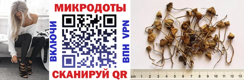 MEGA ссылка  Гагарин  Галлюциногенные грибы ЛСД  как найти наркотики 